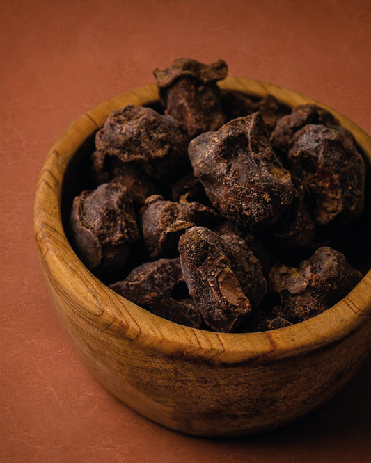 Semilla de Cacau