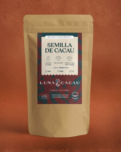Semilla de Cacau